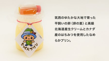 ちっくんプリン１２個セット[BW021ci]