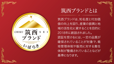 【 先行予約 】【 3ヶ月 定期便 】 スーパーフルーツトマト 小箱 約800g × 1箱 【大玉7～13玉/1箱】 糖度9度 以上 トマト とまと フルーツトマト フルーツ 野菜 やさい 高糖度 [AF046ci]