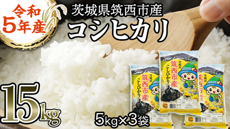 茨城県 筑西市産 コシヒカリ 15kg （ 5kg × 3袋 ） 三ツ星 マイスター 米 コメ こしひかり 単一米 精米  [CH013ci]