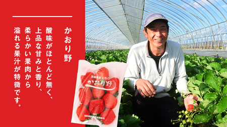 完熟 かおり野 2パック [AF061ci]