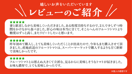  スーパーフルーツトマト 小箱 約800g × 1箱 【大玉7～13玉/1箱】 糖度9度 以上 トマト とまと フルーツトマト フルーツ 野菜 やさい 高糖度 [AF067ci]