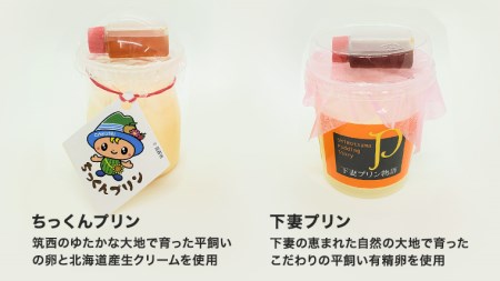 ＜ギフト＞ちっくんプリン8個＆下妻プリン3個 ミックスセット[BW026ci]