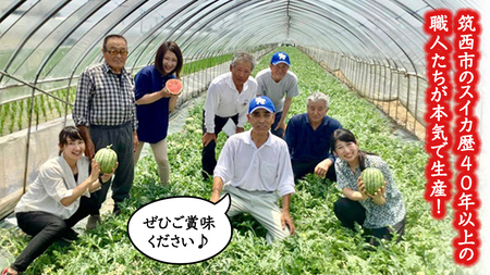 こだますいか 「 愛娘 」 2玉 [AF079ci]