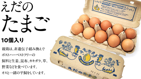 道の駅グランテラス筑西おススメ！こだわりの卵かけご飯セット！醤油＆お米付き コシヒカリ2kg[BW060ci]
