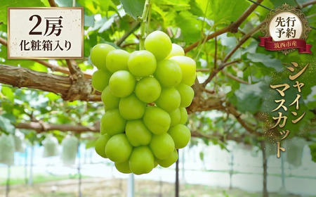 期間限定 ！ 筑西市産 シャインマスカット 2房 2026年産 [BW064ci] 6,930円