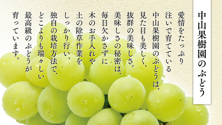 期間限定 ！ 筑西市産 シャインマスカット 1房 2026年産 [BW065ci]