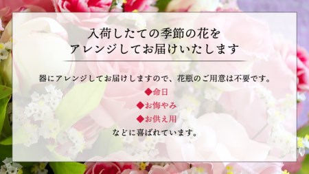 季節のお花の仏花アレンジメントM＊定期便6回 [CT029ci]