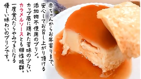 ODEKAKE LADY】レトロプリン６個セット 贅沢 平飼い卵 昔プリン ぷりん