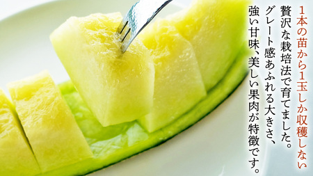 完熟 アールスメロン 大箱 4玉～5玉 [AF082ci]