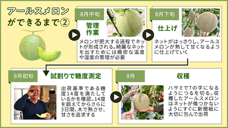 完熟 アールスメロン 大箱 4玉～5玉 [AF082ci]