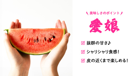 【 訳あり 】 こだますいか 「 愛娘 」 1玉 [AF083ci]