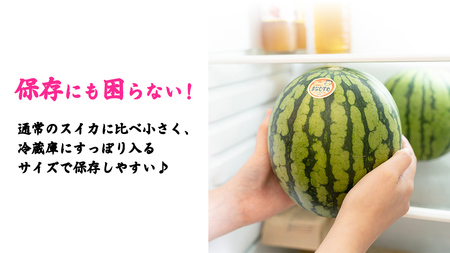 【 訳あり 】 こだますいか 「 愛娘 」 2玉 [AF084ci]