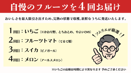 【 野菜ソムリエ 厳選 】 旬 の フルーツ定期便 ( イチゴ スタート ) 先行予約 [AF085ci]