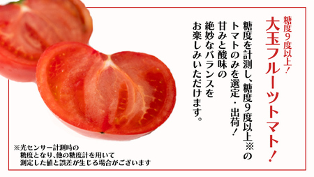 【 野菜ソムリエ 厳選 】 旬 の フルーツ定期便 ( イチゴ スタート ) 先行予約 [AF085ci]