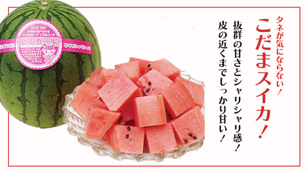 【 野菜ソムリエ 厳選 】 旬 の フルーツ定期便 ( イチゴ スタート ) 先行予約 [AF085ci]