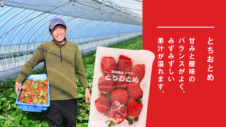 完熟 かおり野 ・ とちおとめ 食べ比べ 4パック [AF088ci]