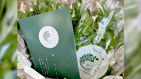 【 先行予約 】 みくにクレソン100g×7袋 美容 健康 野菜 スーパーフード クレソン[CY002ci]