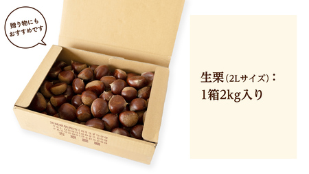 【 吉原農場 の 完熟栗 】 熟成 生栗 2kg 2Lサイズ 令和7年産 完熟 栗 くり クリ 栗ごはん 贈答 ギフト 果物 フルーツ 数量限定 旬 秋 冬 正月 おせち [CX004ci]