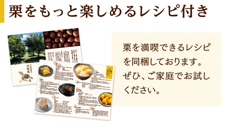 【 吉原農場 の 完熟栗 】 熟成 生栗 1kg Lサイズ ・ 焼き栗 2袋 セット 完熟 栗 くり クリ 栗ごはん 贈答 ギフト 果物 フルーツ 数量限定 旬 秋 冬 正月 おせち [CX006ci]