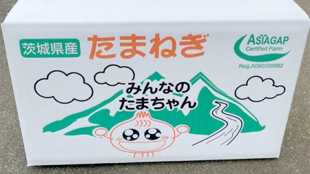 ASIAGAP認証農場 の たまねぎ 10kg ( Lサイズ )  令和7年産 先行予約 玉ねぎ 玉葱 タマネギ 有機栽培 野菜 ASIAGAP [DD004ci]