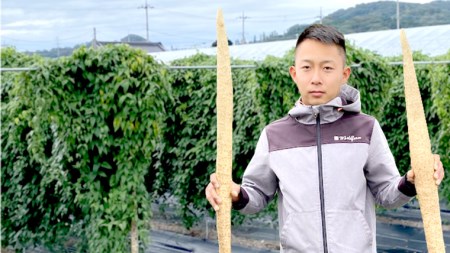 ASIAGAP認証農場 の 自然薯 1kg 茨城県 筑西市産 じねんじょ 山芋 芋 イモ いも とろろ 山菜 ASIAGAP [DD001ci]