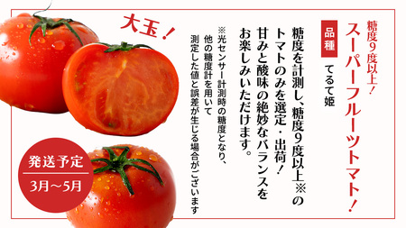 【 野菜ソムリエ 厳選 】 旬 の フルーツ 定期便 ( フルーツトマト スタート ) 4回 先行予約 [AF095ci]