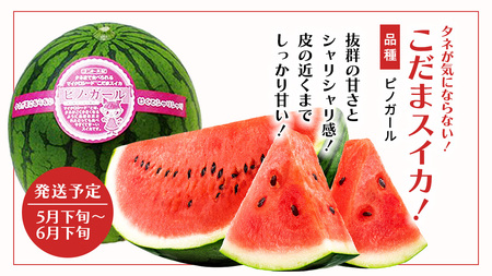 【 野菜ソムリエ 厳選 】 旬 の フルーツ 定期便 ( フルーツトマト スタート ) 4回 先行予約 [AF095ci]