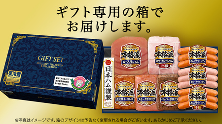 【12/21入金確認分まで年内配送】【 お歳暮 熨斗付 】 日本ハム 筑西工場 本格派 ギフトセットD [AA085ci]