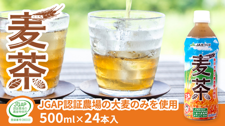 麦茶 JA北つくば オリジナル商品（ 24本入 ） お茶 ペットボトル 麦 [AE020ci]
