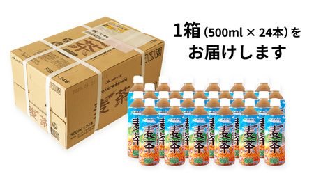 【 JA 北つくば 】 JGAP認証 麦茶 1箱 ( 500ml × 24本 ) JGAP JA お茶 茶 ペットボトル 麦 大麦 二条大麦 ノンカフェイン カフェインゼロ [AE020ci]