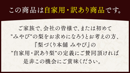 極上の雫 『 豊水 』 5kg ( 自家用 ) 2025年産 先行予約 フルーツ 果物 国産 日本産 梨 ナシ なし 和梨 [DJ002ci]