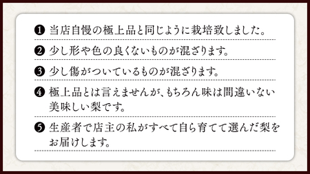 今一番人気 『 あきづき 』 5kg ( 自家用 ) 2026年産 先行予約 [DJ003ci]