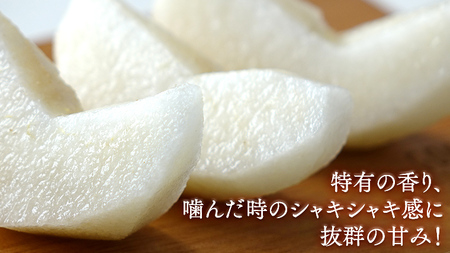 今一番人気 『 あきづき 』 5kg ( 自家用 ) 2026年産 先行予約 [DJ003ci]