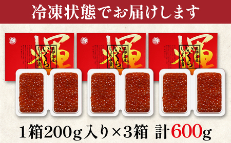 【小分けで便利！】北海道産いくら 600g（100g×6パック）しょうゆ漬け 丸鮮道場水産 小分け 食べきり