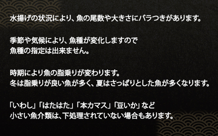 【2026年1月下旬発送】北海道産 冷凍鮮魚セット 最大3.2kg 「漁師応援プロジェクト！」 下処理済み 冷凍 鮮魚 海鮮 海産 地元