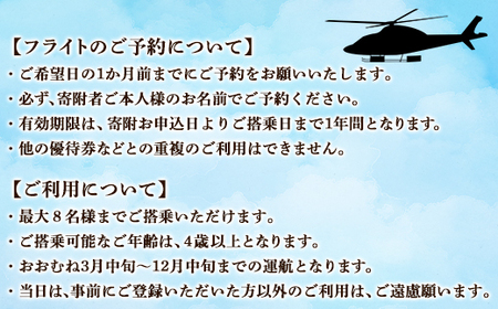 【最大8名】北海道スカイクルーズ 10分コース スカイクルージング 遊覧飛行 体験 観光 鹿部 駒ヶ岳 大沼 道南
