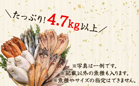 【2025年6月下旬発送】訳あり 干物・切身 セット 4.7kg以上 規格外 傷 不揃い