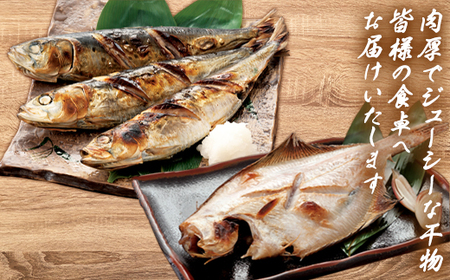 【2025年11月下旬発送】訳あり 干物・切身 セット 4.7kg 規格外 傷 不揃い
