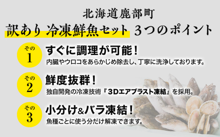 【2026年2月下旬発送】北海道産 冷凍鮮魚セット 最大3.2kg 「漁師応援プロジェクト！」 下処理済み 冷凍 鮮魚 海鮮 海産 地元