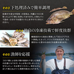 【2026年2月下旬発送】北海道 冷凍鮮魚セット 最大4kg 「漁師応援プロジェクト！」 下処理済み 冷凍 鮮魚 海鮮 海産 地元 ホタテ