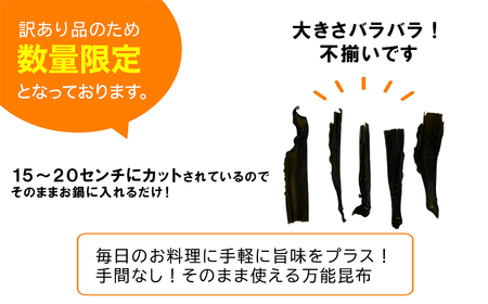 【北海道産】 訳あり 根昆布切り落とし 1kg 昆布 不揃い 昆布 真昆布 昆布 コンブ 昆布