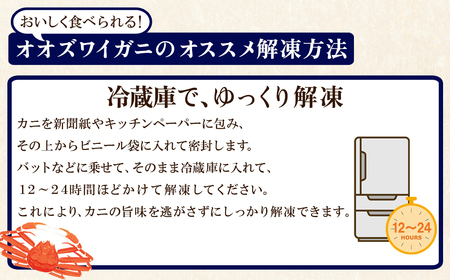 【訳あり】北海道産 ボイルオオズワイガニ 3kg 約10～18尾 かに 蟹 ずわい蟹 