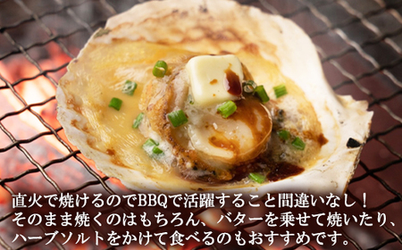 【北海道産】 ハーフシェル ほたて片貝 3袋 1.9kg (30枚前後) ウロ取り済み バラ冷凍 加熱調理用