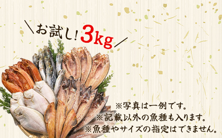 【2026年1月下旬発送】訳あり 干物・切身 セット 3kg お試し 北海道 バラ冷凍 規格外 傷 不揃い