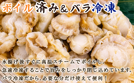 訳あり!不揃いな北海道産 ベビーボイルホタテ 1kg お試し (1kg×1袋)加熱用 小分け ホタテ ほたて 帆立 ベビーホタテ バラ冷凍