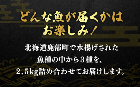 訳あり 北海道 冷凍鮮魚切り身3種セット 約2.5kg 鮭 サクラマス ほっけ さば おまかせ