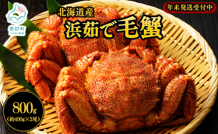 【北海道産】 ボイル毛蟹 約800g（400g前後×2尾）蟹 カニ 冷凍 【2025年11月下旬発送】