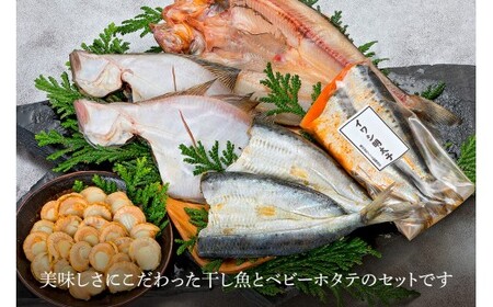 【緊急支援品】新製法！ふっくら軽石干し魚&ベビーホタテ ボリューム大セット事業者支援 中国禁輸措置