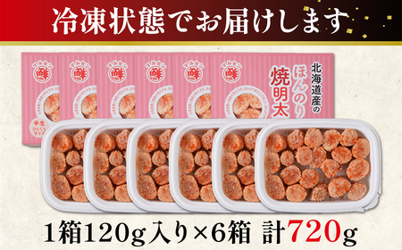 【丸鮮道場水産】 北海道産 ほんのり焼明太子 120g×6個 (計720g)