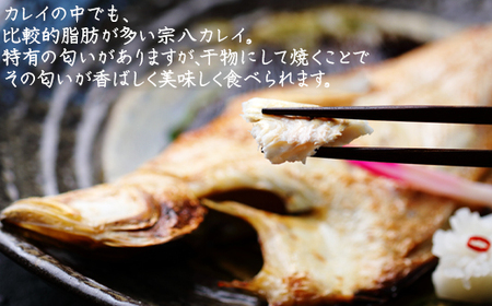 軽石を使った干物(冷凍) 北海道産 宗八カレイ 1.6kg(8尾入り)